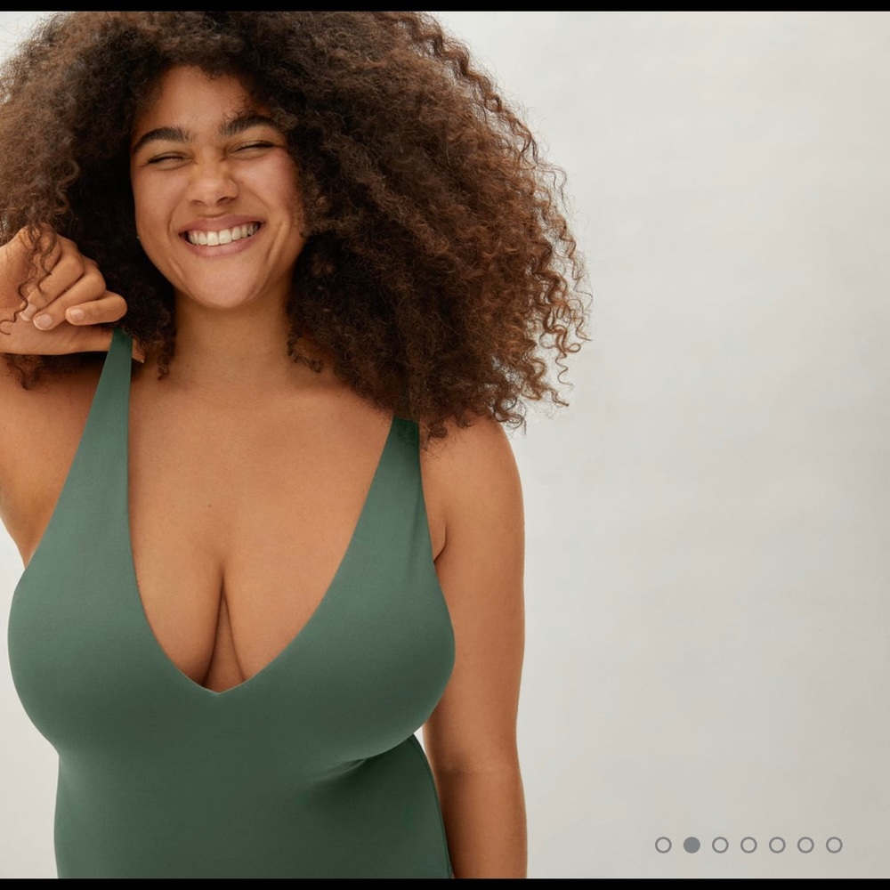 Everlane V-Neck One Piece Bathing Suit